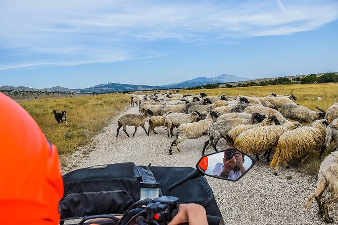 ATV Dinara Mountain tour with picnic - Who this ATV Dinara and Cetina tour fits best