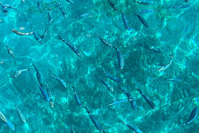 Bespoke private boat tour from Split & Trogir with a local expert - Snorkeling gear and water: small inclusions, big comfort