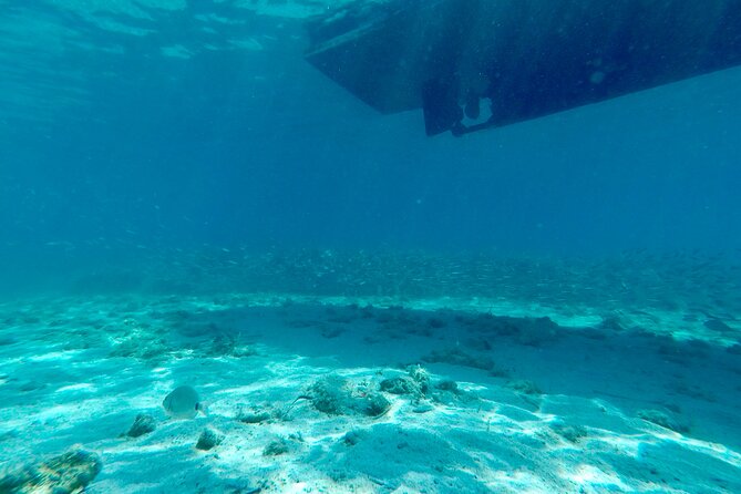 Blue Lagoon & 3 Islands Private Boat Tour - Necujam on Solta: shipwreck curiosity plus lunch flexibility