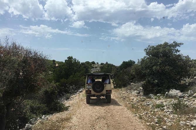 Feel and Taste island Brac with local experts - island adventure to remember - Zlatni Rat (Golden Horn) beach hour: swimming and timing