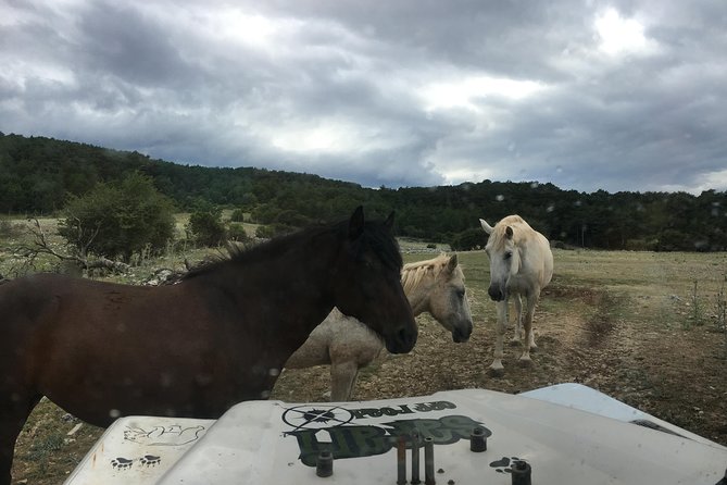 Feel and Taste island Brac with local experts - island adventure to remember - Stone quarry finale: see Brač limestone where it’s still active