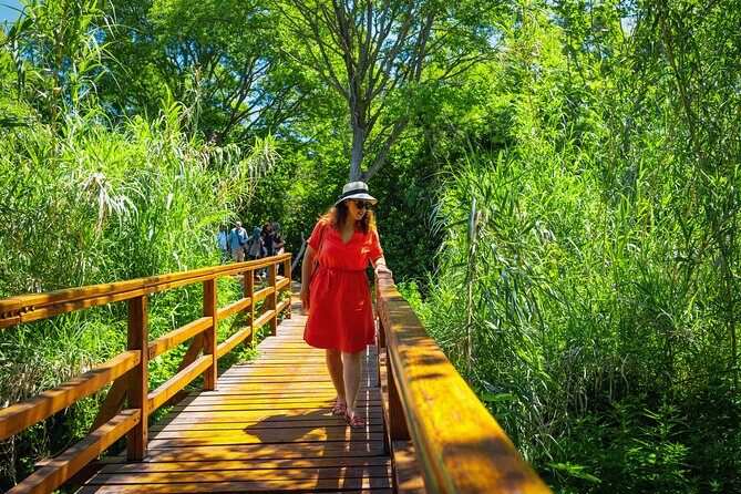 From Split: Krka Waterfalls Tour - The Real World Details: Group Size, Language, and Bus Comfort