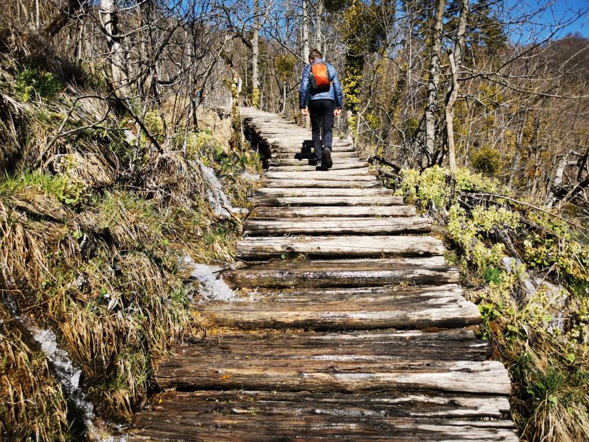 From Split: Plitvice Lakes Full-Day Trip - Timing, weather, and why Plitvice feels different than the coast