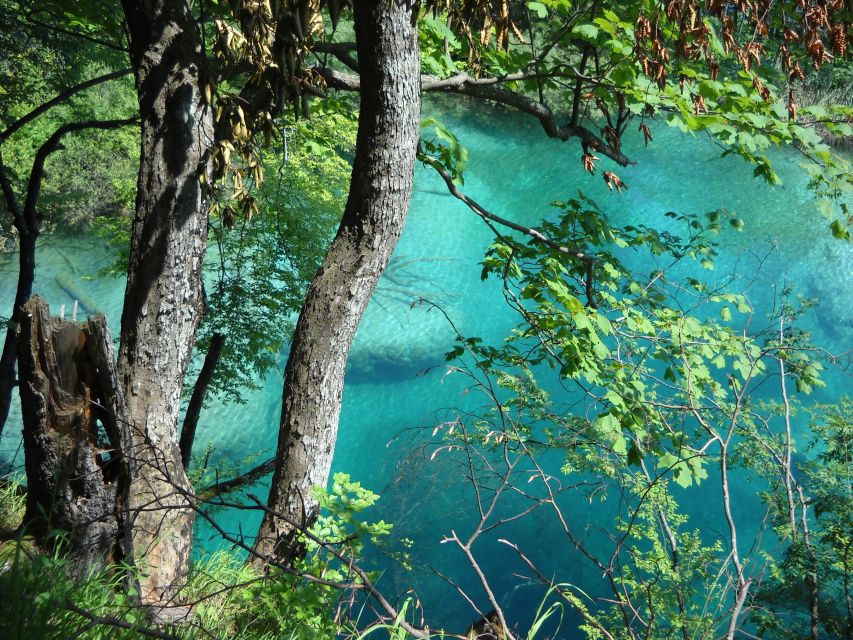 From Split: Plitvice Lakes Full-Day Trip - Price and value: is $57 plus entry tickets a smart deal?