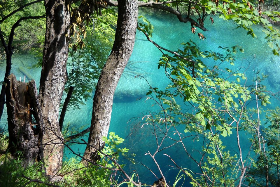From Split: Plitvice Lakes Fully-Guided Day Tour - Key highlights worth your attention