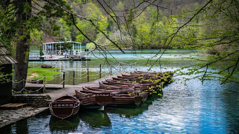 From Split: Plitvice Lakes Guided tour - Start Points and How to Find Your Group Fast