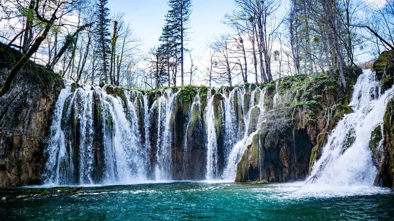 From Split: Plitvice Lakes Guided tour - Upper Lakes on the 8-Kilometer Hike: The Fairy Forest to Gornja Jezera