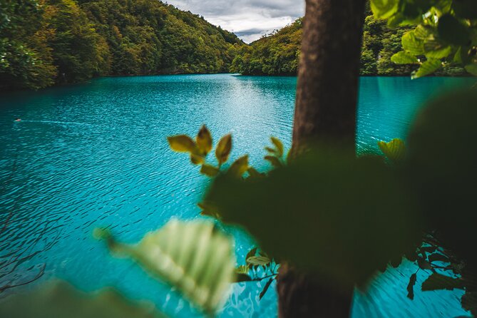 From Split: Plitvice Lakes - Private tour - Lower Lakes and Sastavci Falls: the canyon payoff
