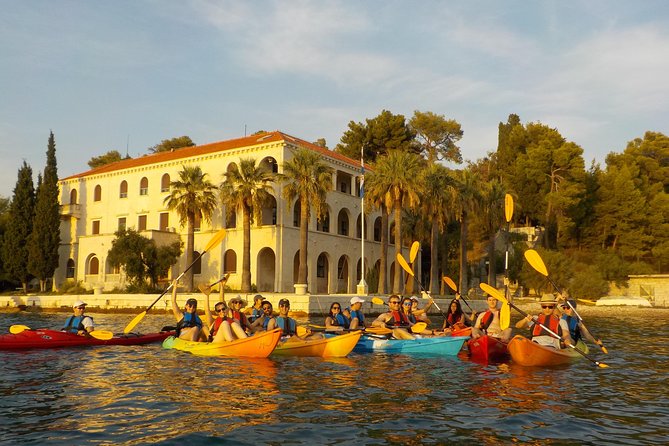 Half-Day Split Sea Kayak Adventure - Sunset vs Morning: What Actually Changes in Your Experience