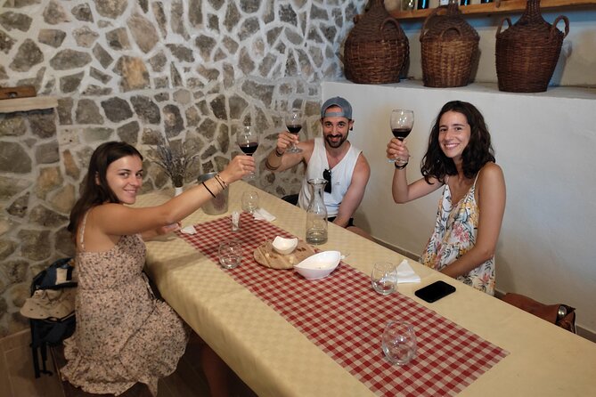 Krka National Park Tour with tour Guide & Wine tasting from Split & Trogir - What to bring, how to dress, and how to pace yourself