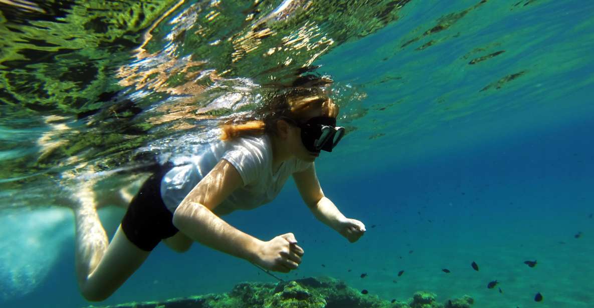 Omiš: Kayaking and Snorkeling Tour - The 5-Mile Upstream Start: Paddle Down Through Canyon-Scale Views