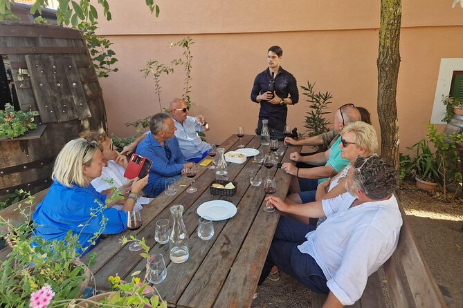 Private Krka Waterfalls with Wine and Prosciutto Shore Excursion - Who should book this Krka + wine combo?