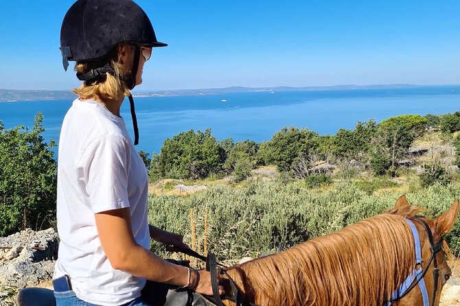 Ranch 22 Podstrana, " Horse riding 12 km from SPLIT " - The guide: local stories plus real hands-on support