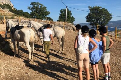 Ranch 22 Podstrana, " Horse riding 12 km from SPLIT " - What riding is actually like (walk, pace, and control)