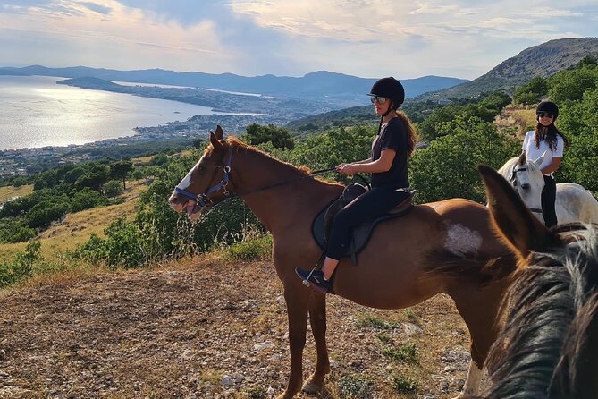 Ranch 22 Podstrana, " Horse riding 12 km from SPLIT " - After the ride: homemade snacks and wine at the ranch
