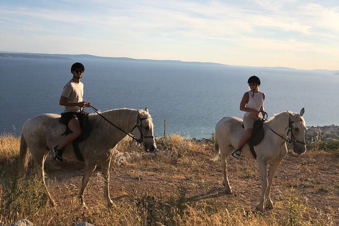 Ranch 22 Podstrana, " Horse riding 12 km from SPLIT " - Price and value: what $105 buys you