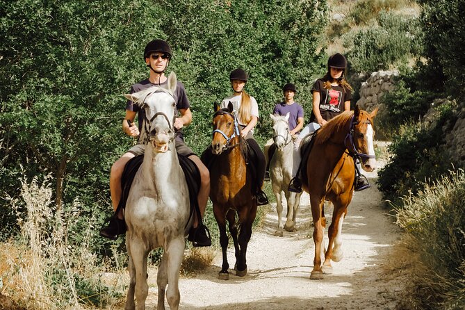 Ranch 22 Podstrana, " Horse riding 12 km from SPLIT " - Logistics: getting there from Split (and where to meet)