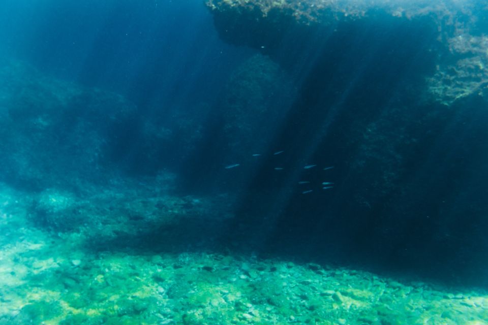 Split: 45-minute Semi-Submersible Submarine Trip - Your smooth “45-minute” plan: what to do before you show up