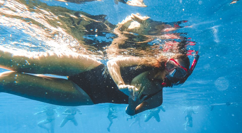 Split: Blue Cave and 5 Islands Tour - Pakleni Islands and Palmižana: Seafood and Beach-Club Energy in Front of Hvar
