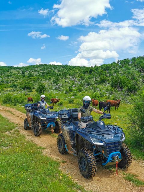 Split: Dalmatian Quad Tour with River Swimming & Picnic - Gear-Up: Helmets, Gloves, Dust Mask, and What the Quad Is Actually Like