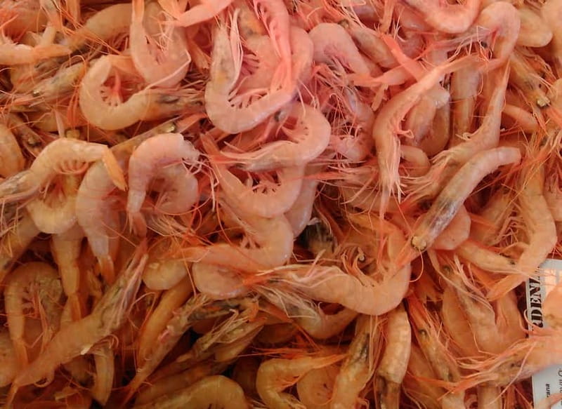 Split: Food Tasting Walking Tour - Should You Book This Split Food Tasting Walking Tour?