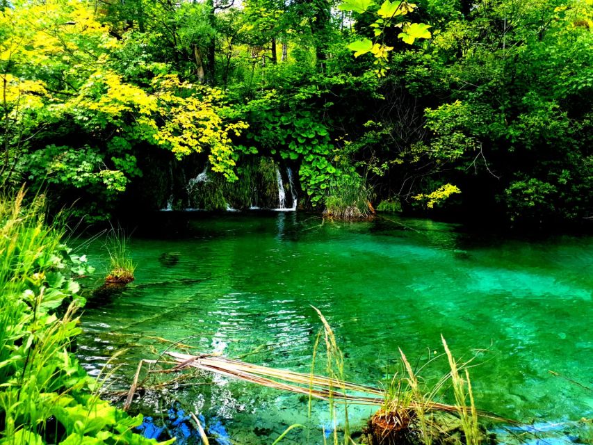 Split: Plitvice Lakes Guided Day Tour with Entry Tickets - Price and Value: What $116 Buys You (and What It Doesn’t)