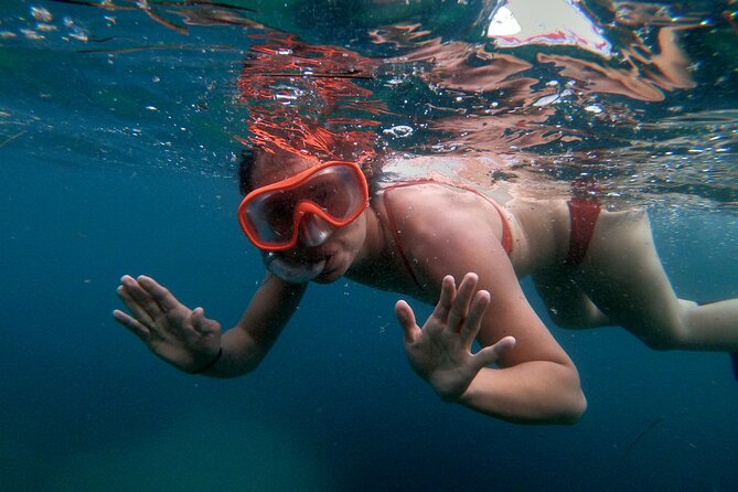 Split Sea Kayaking & Snorkeling Tour - Snorkeling and those sea-life moments in the Adriatic