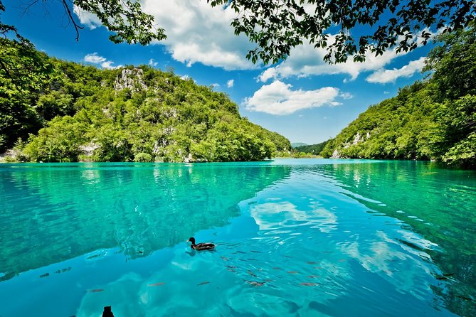 Split to Zagreb Group Transfer with Plitvice Lakes guided tour - Zagreb Drop-Off: Where You End Up Matters