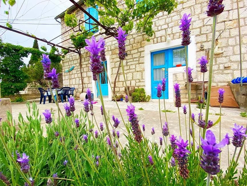 Trogir: Blue Lagoon, Maslinica, and Solinska Bay Boat Tour - Blue Lagoon at Drvenik Veli: Where Shallow Water Makes Snorkeling Easier